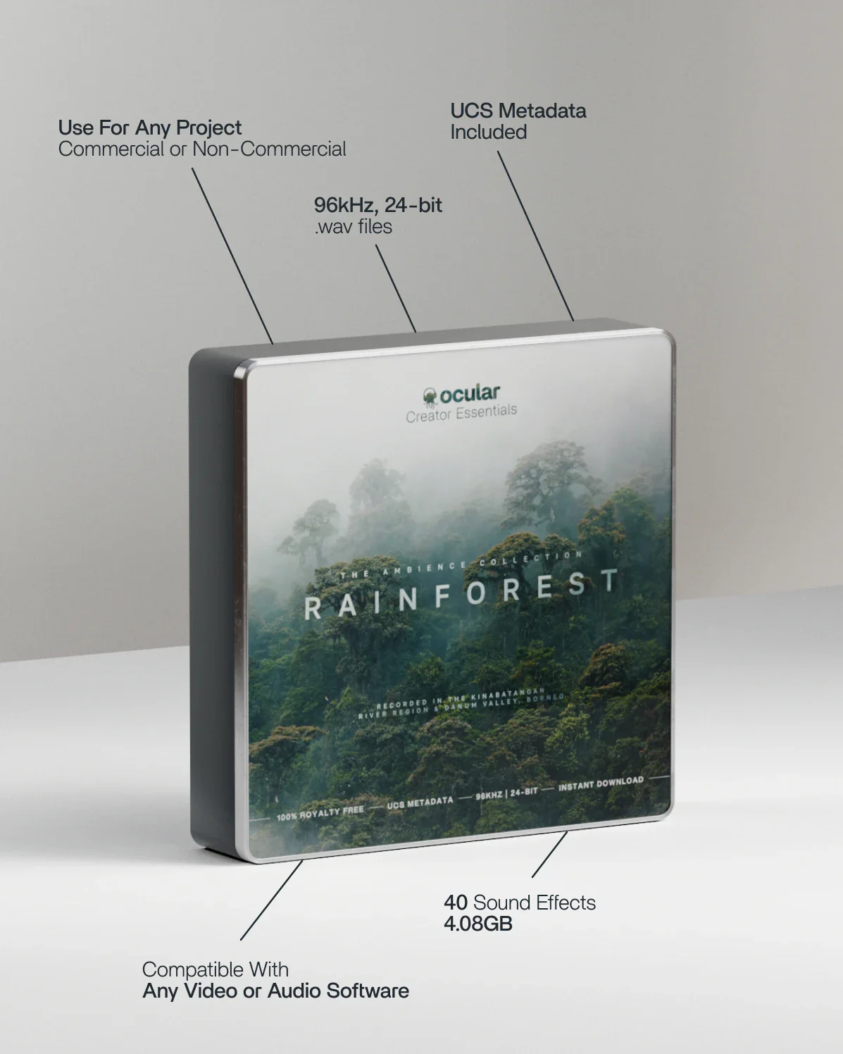 Rainforest - Ambience SFX - Image 2